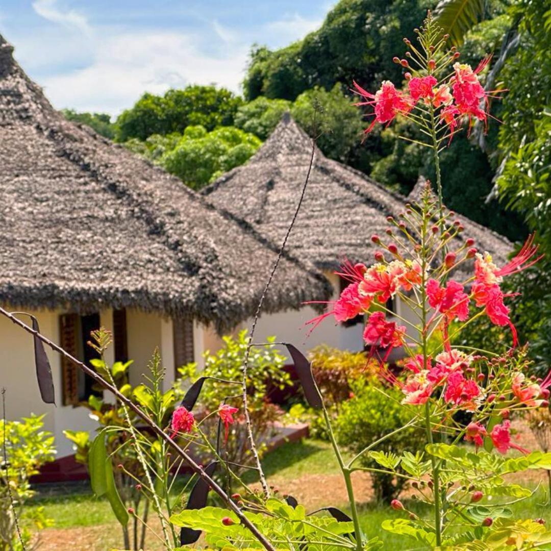 Wings Hotels Nosy-Be エクステリア 写真